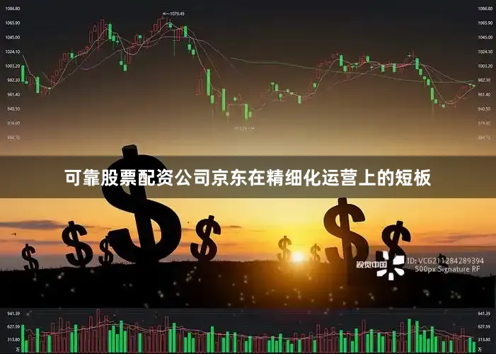 可靠股票配资公司京东在精细化运营上的短板
